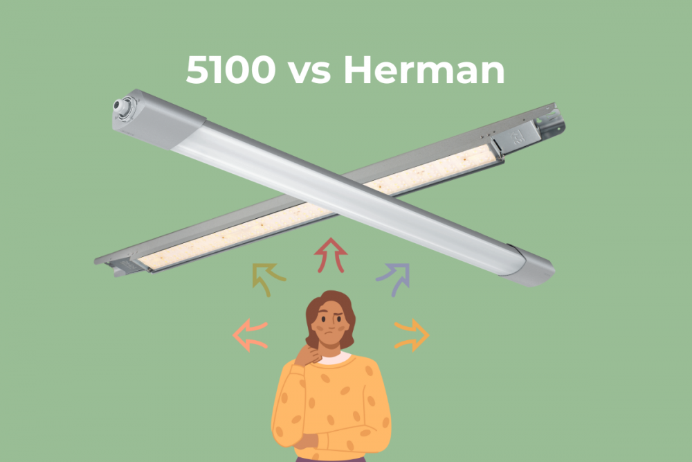 Herman vs 5100
